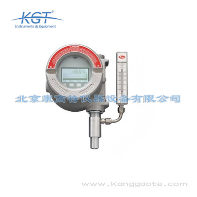 美國PHYMETRIX(菲美特)　DPT-900型號在線式防爆露點儀